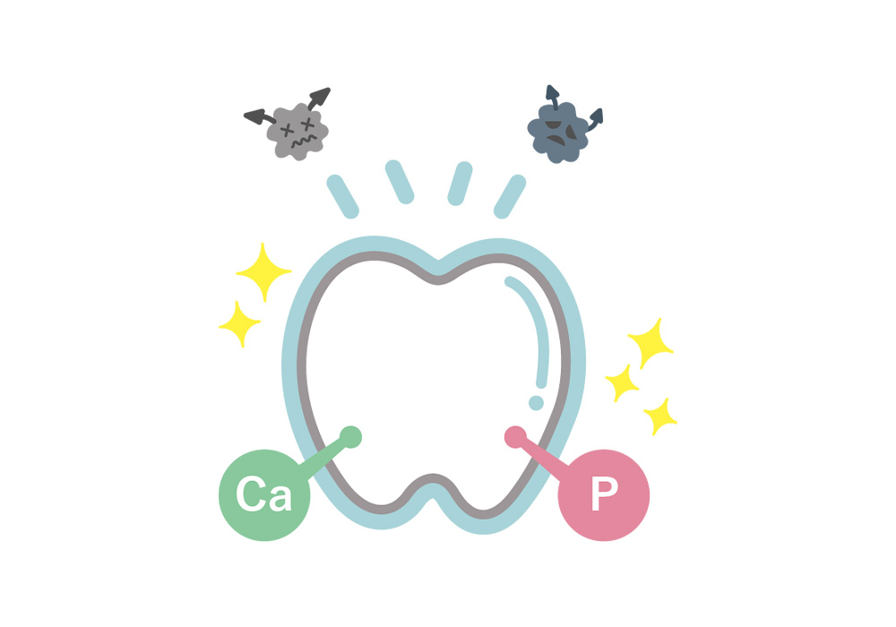 フッ素（フッ化物）塗布